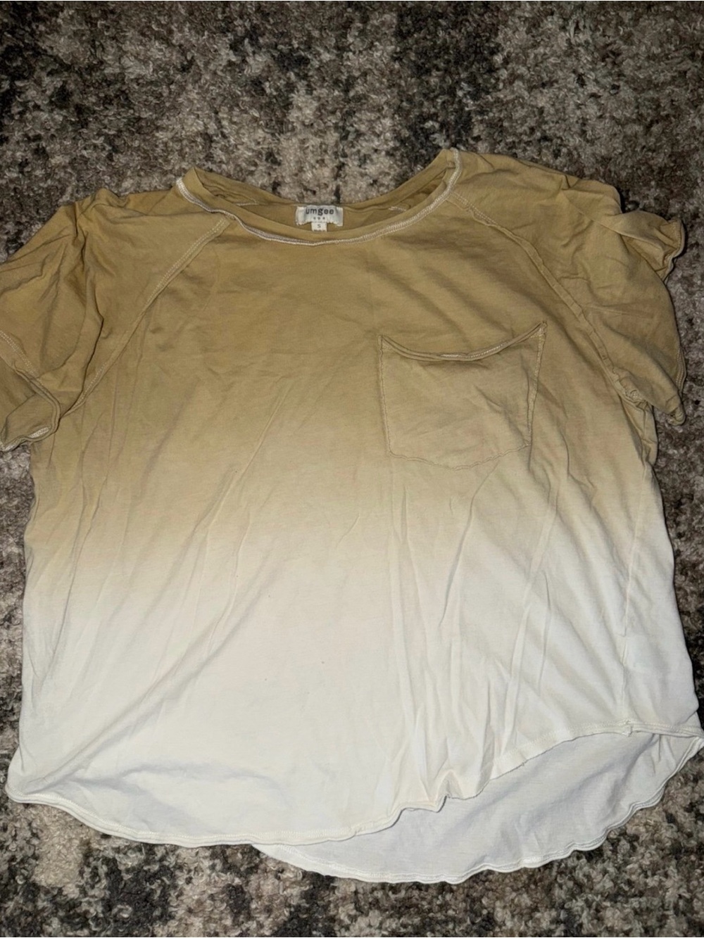 Umgee Short Sleeve Ombré Tee in Beige to Cream